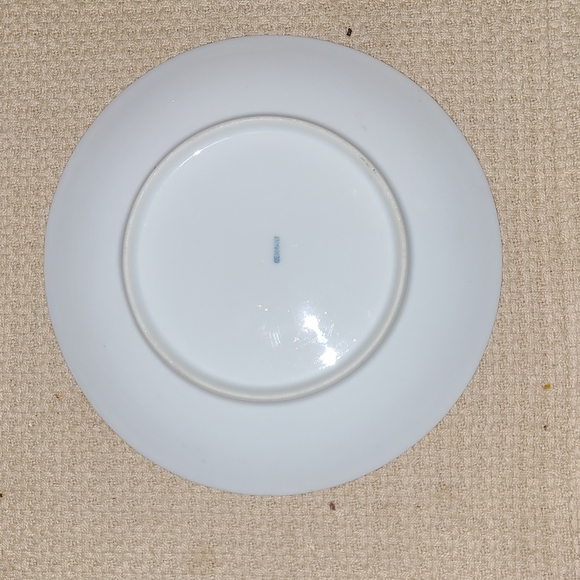 Vintage RS Germany Floral Pink Roses Dessert Bread Plates Green Ombre Pre-WWII - Picture 9 of 12